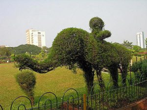 6. Hanging Garden of Mumbai